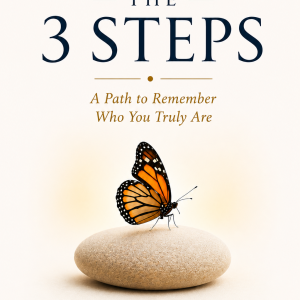 The 3 step book - EPUB